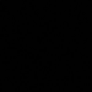 Meet your Posher, Halimatou